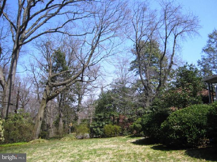 320 Gribbel Road Wyncote, PA 19095 - Photo 20 of 24 a backyard of a house with lots of green space