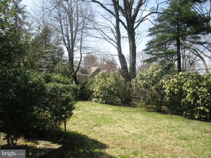 320 Gribbel Road Wyncote, PA 19095 - Photo 22 of 24 a view of yard with tree