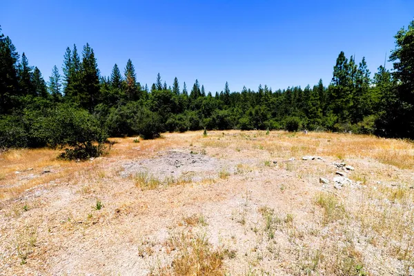$99,000 | 1402 Meredith Lane, Rail Road Flat, CA 95245