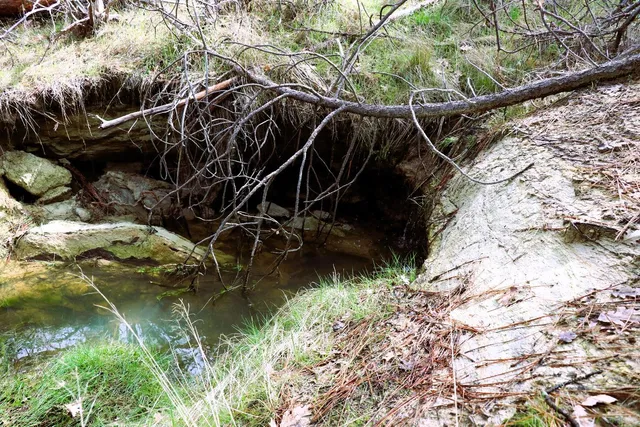 $110,000 | 1402 Meredith Lane, Rail Road Flat, CA 95245