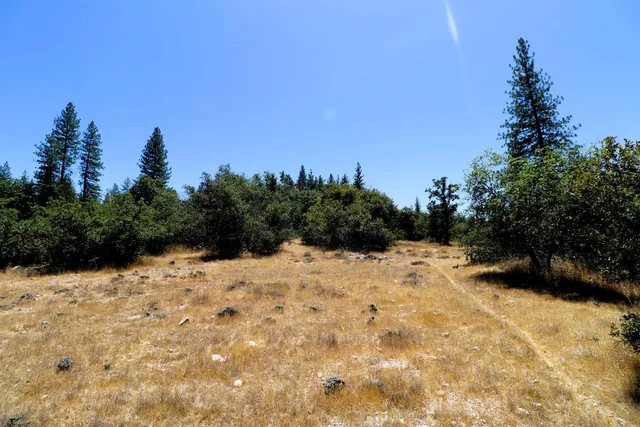 $110,000 | 1402 Meredith Lane, Rail Road Flat, CA 95245