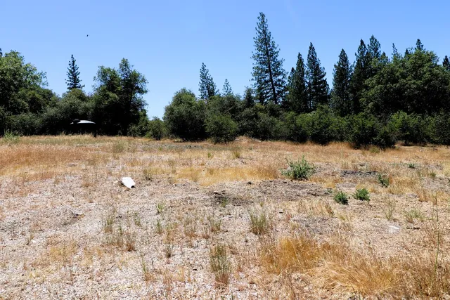 $110,000 | 1402 Meredith Lane, Rail Road Flat, CA 95245