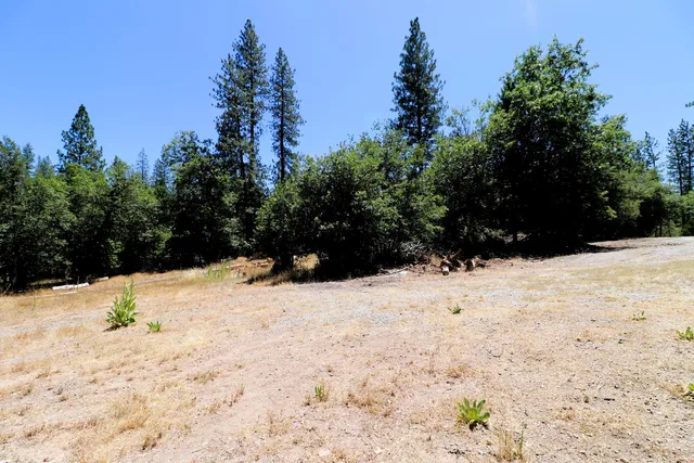 $110,000 | 1402 Meredith Lane, Rail Road Flat, CA 95245