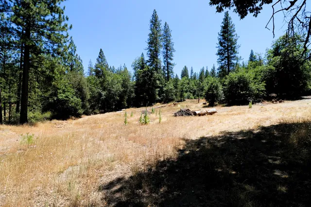 $110,000 | 1402 Meredith Lane, Rail Road Flat, CA 95245