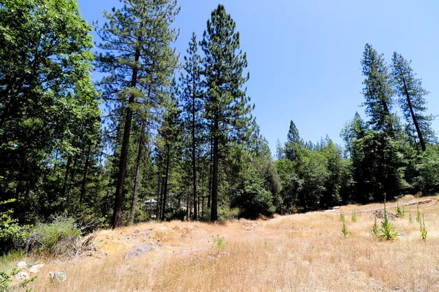 $110,000 | 1402 Meredith Lane, Rail Road Flat, CA 95245