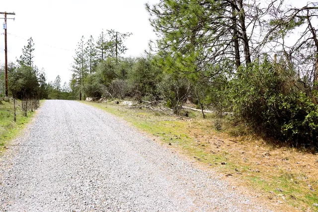 $110,000 | 1402 Meredith Lane, Rail Road Flat, CA 95245