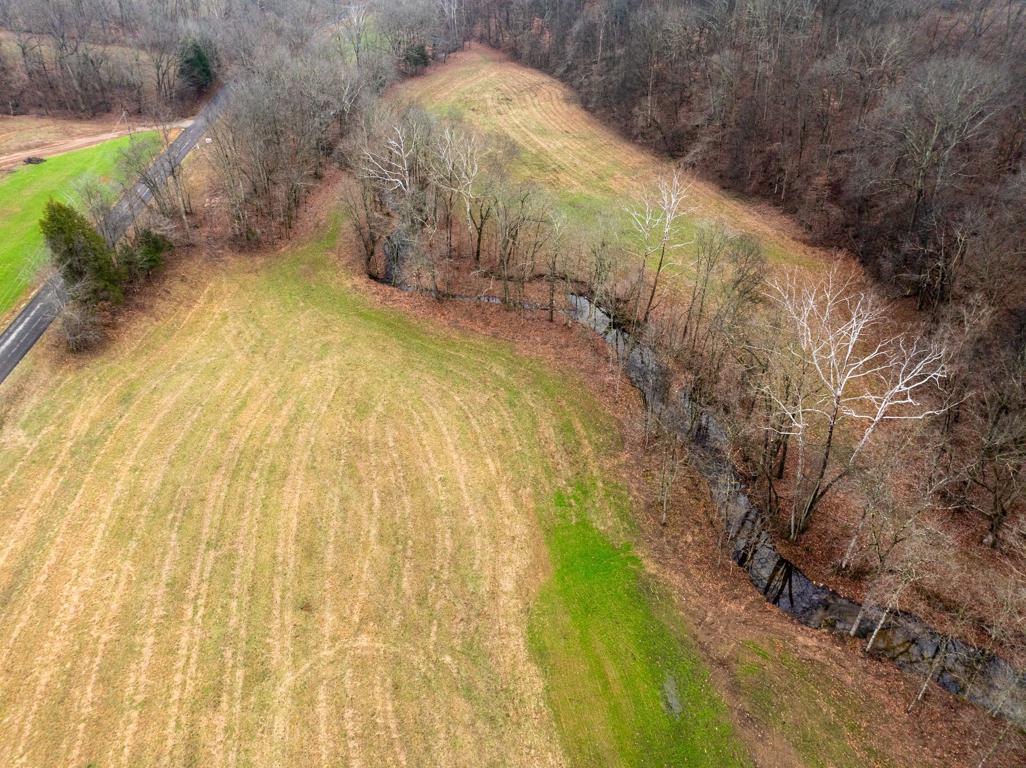 0 Shelter Branch Road Charlotte, TN 37036 - Photo 8 of 30