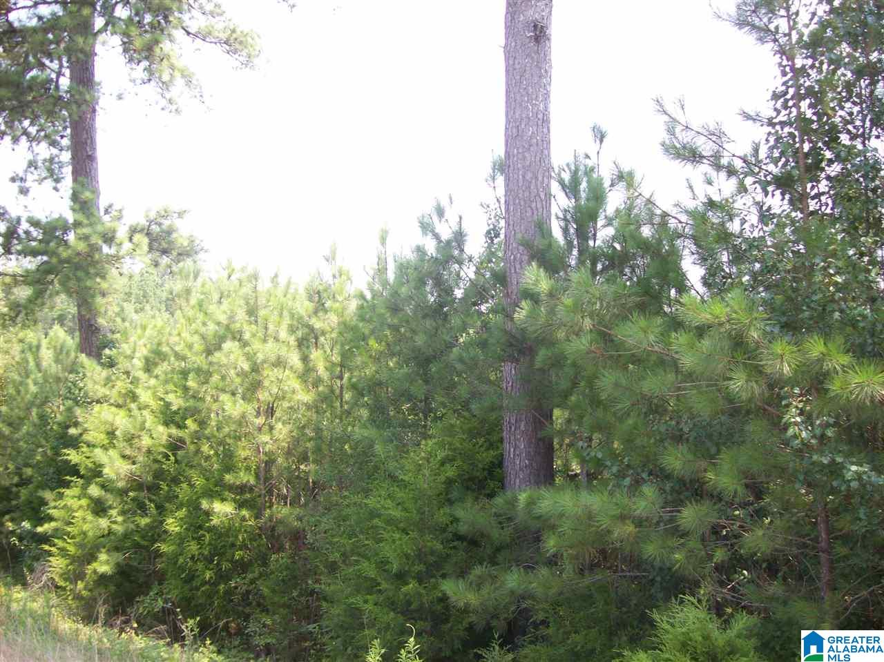 Francis Mill Road Ohatchee, AL 36271 - Photo 8 of 9