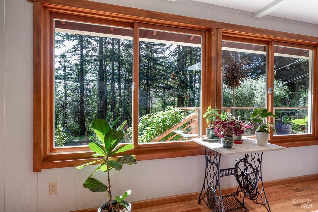 17600 Willow Creek Road Occidental, CA 95465 - Photo 11 of 79 View of the redwoods from the large dining room.