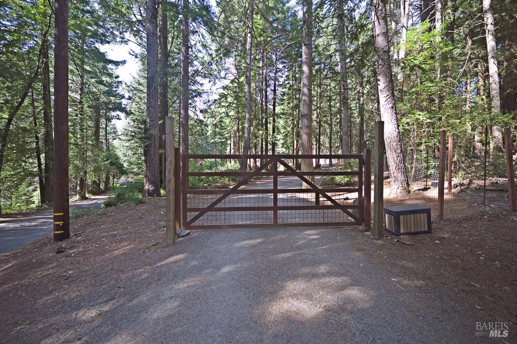 17600 Willow Creek Road Occidental, CA 95465 - Photo 3 of 79 Privacy abounds beyond the gated entrance.