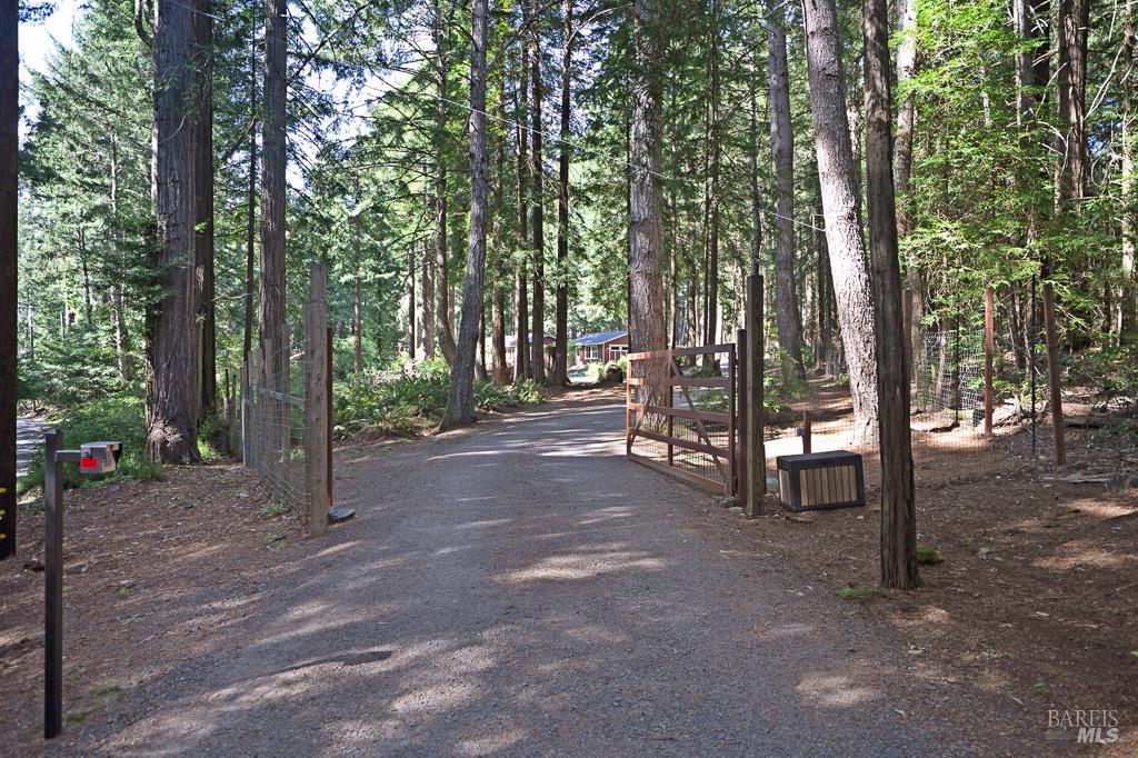 17600 Willow Creek Road Occidental, CA 95465 - Photo 4 of 79 Shared drive leads to subject property and parcel behind.