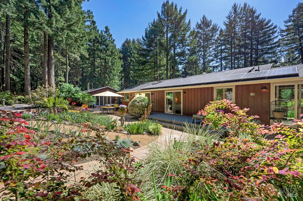 17600 Willow Creek Road Occidental, CA 95465 - Photo 41 of 79 The garden is just beginning to come alive!