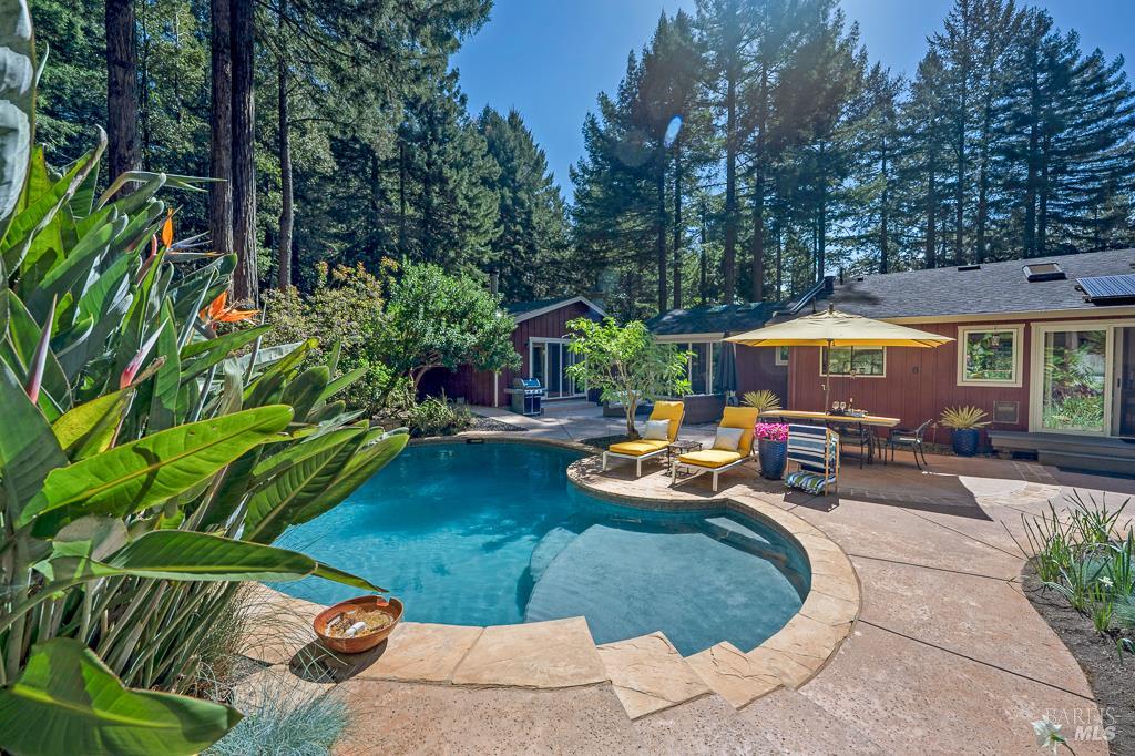 17600 Willow Creek Road Occidental, CA 95465 - Photo 50 of 79