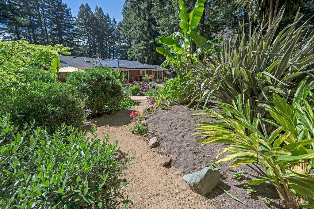 17600 Willow Creek Road Occidental, CA 95465 - Photo 60 of 79