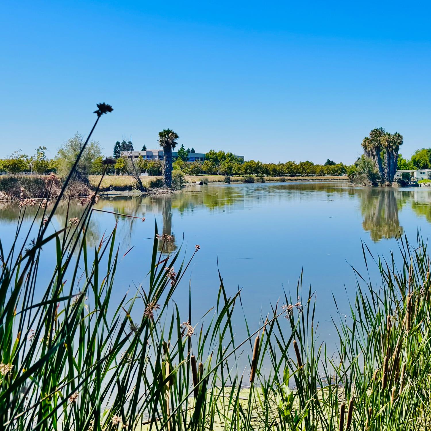 3901 West Lake Road, Unit 123 West Sacramento, CA 95691 - Photo 20 of 26 a view of a lake with houses in the back