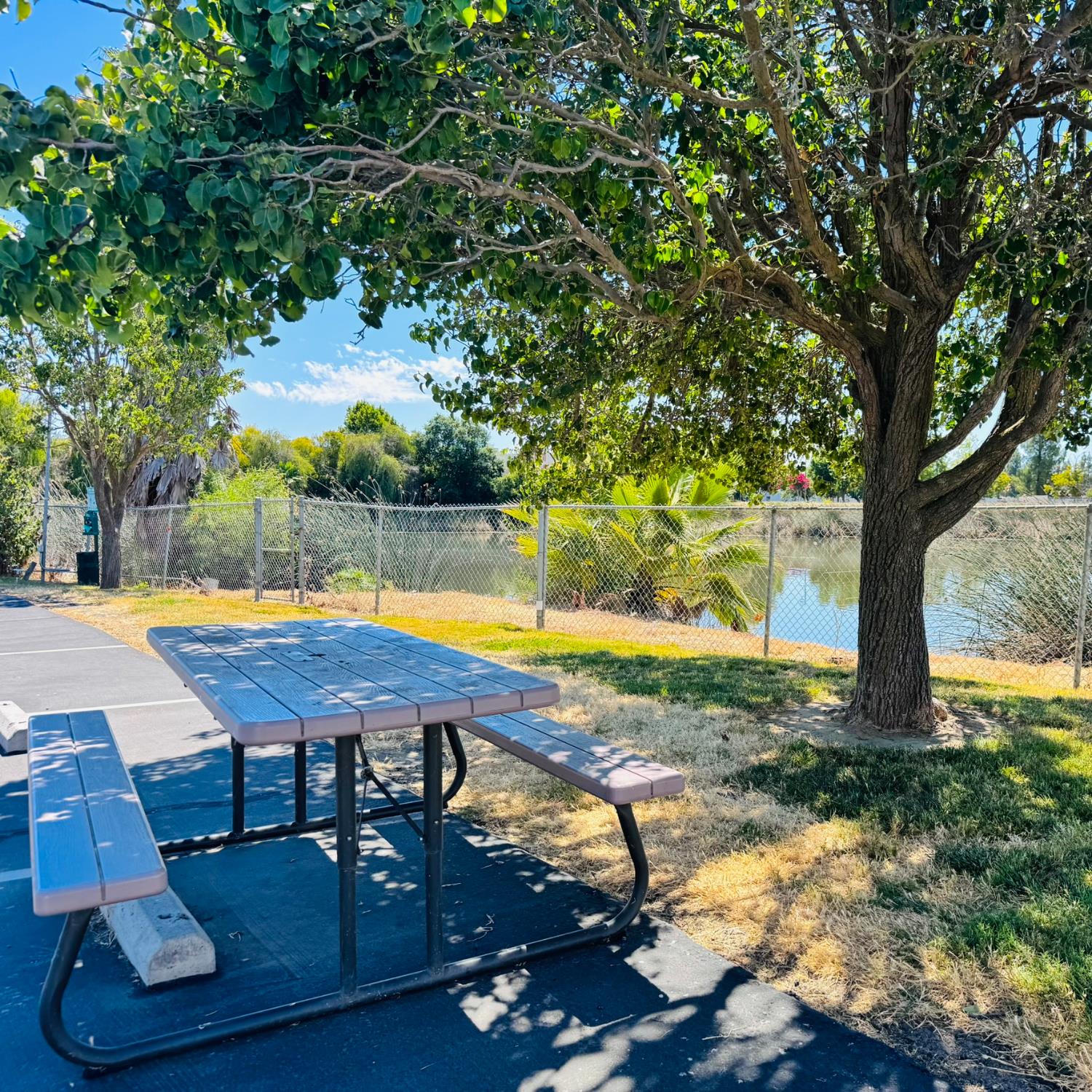 3901 West Lake Road, Unit 123 West Sacramento, CA 95691 - Photo 21 of 26 a view of a swimming pool with a patio