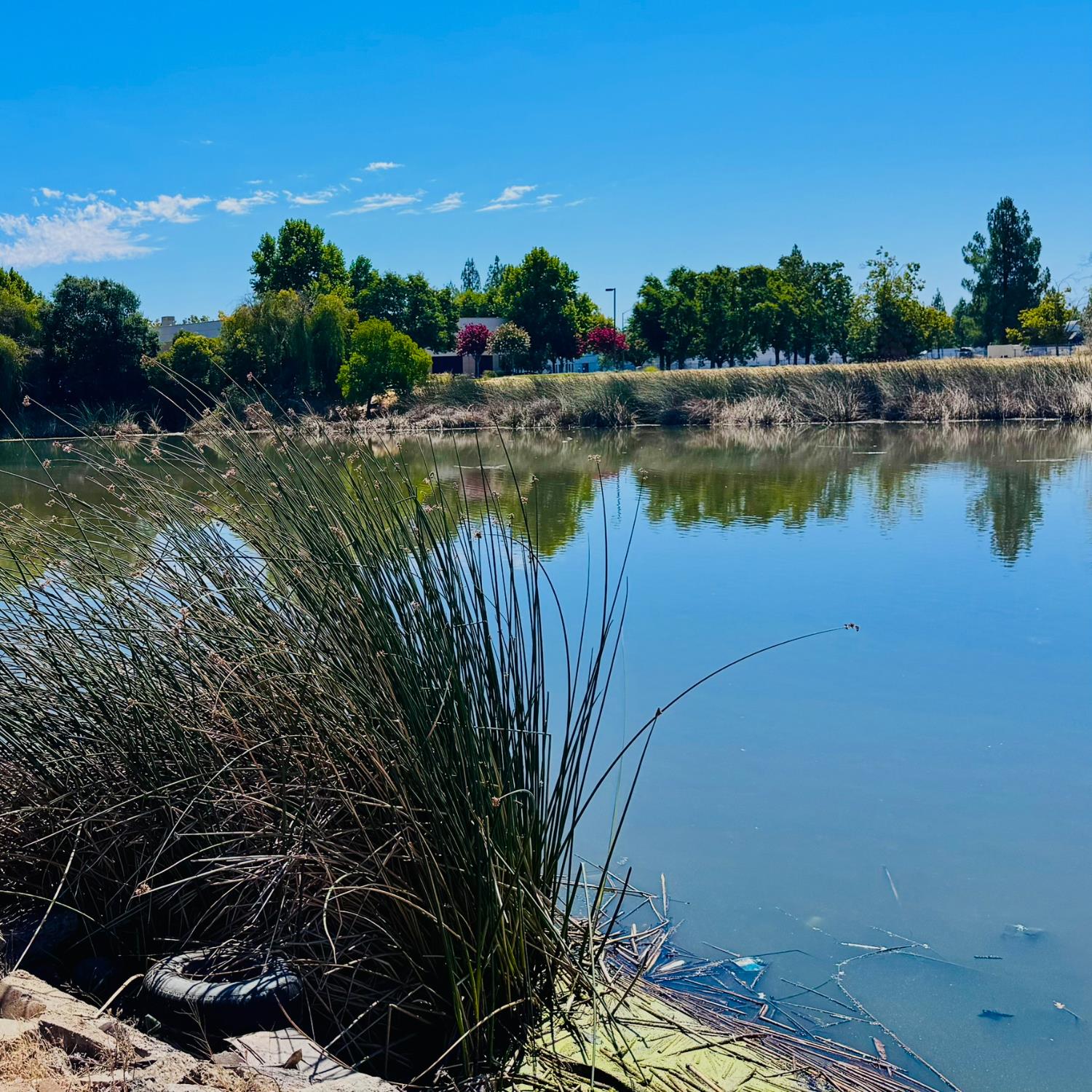3901 West Lake Road, Unit 123 West Sacramento, CA 95691 - Photo 22 of 26 a view of a lake with houses