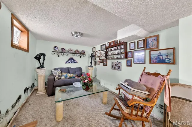 $115,000 | 212 Boyd Drive, Louisiana, MO 63353