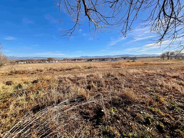 a view of yard with wooden floor