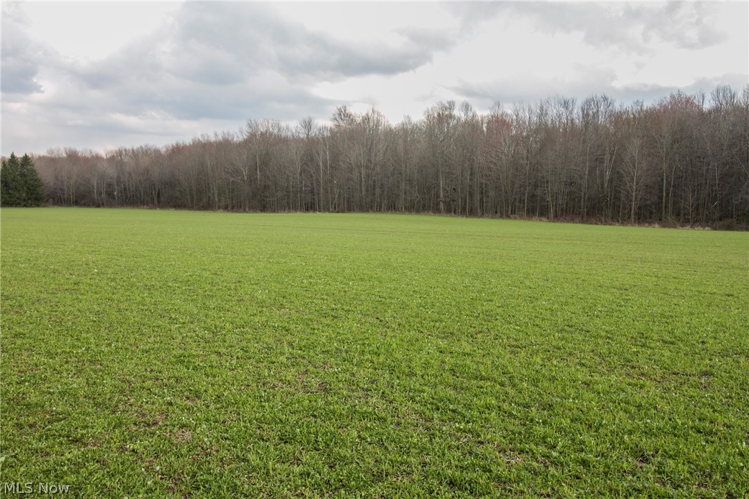 Chapel Road Ashtabula, OH 44004 - Photo 21 of 26 Gallery Image 21