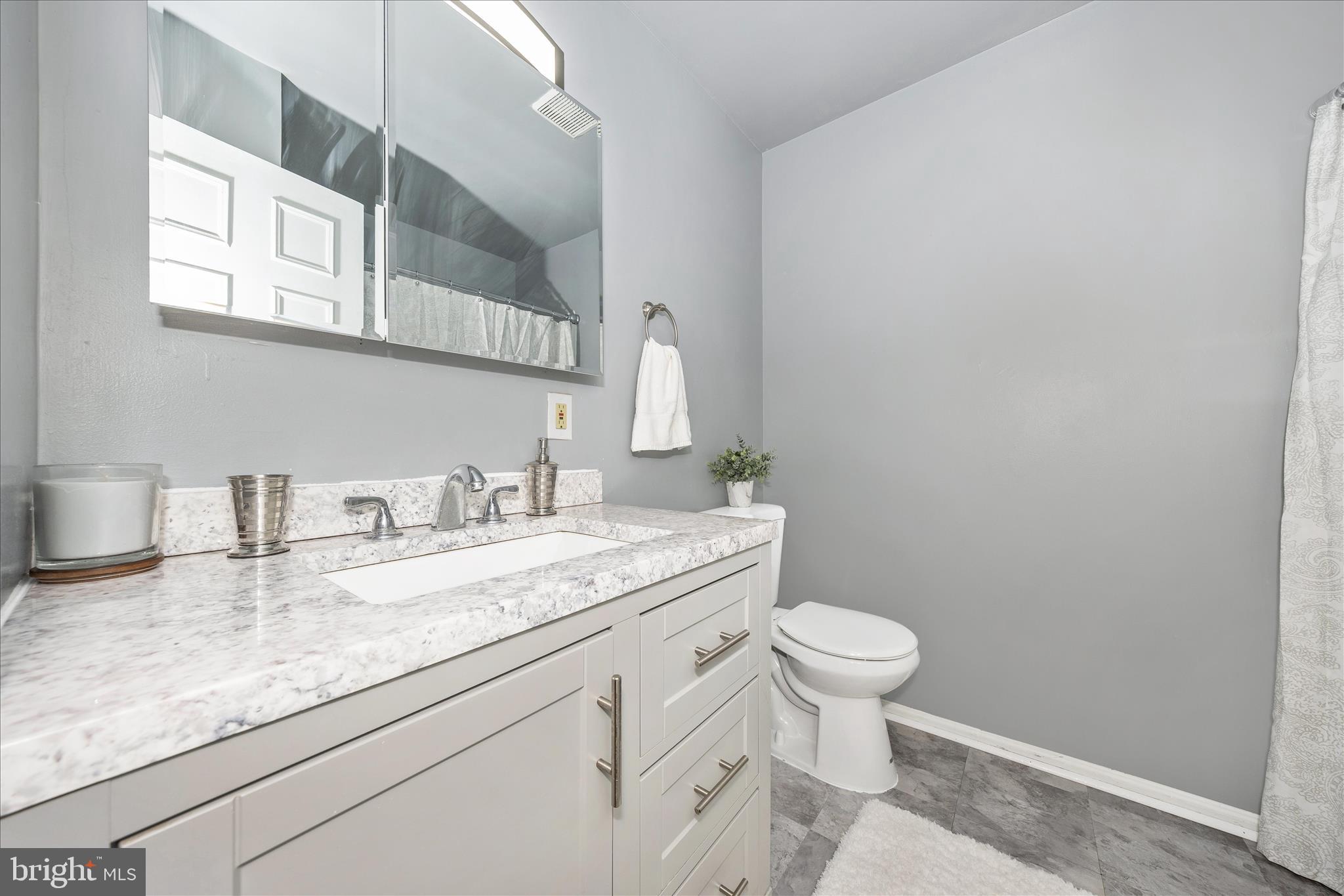 212 Hoff Court Mount Airy, MD 21771 - Photo 29 of 62 New Upstairs Hall Bath