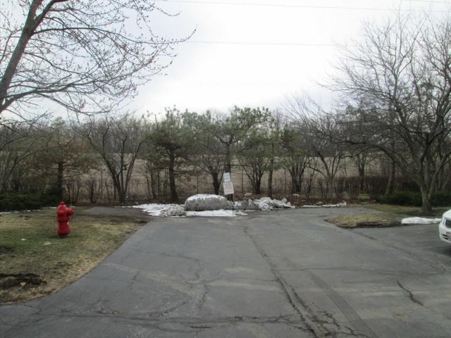 1855 Koehling Road Northbrook, IL 60062 - Photo 17 of 17 a view of a park with large trees