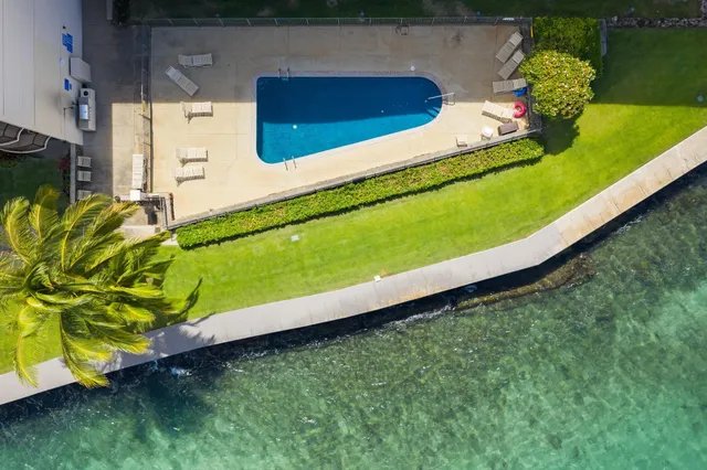 a view of a backyard with plants