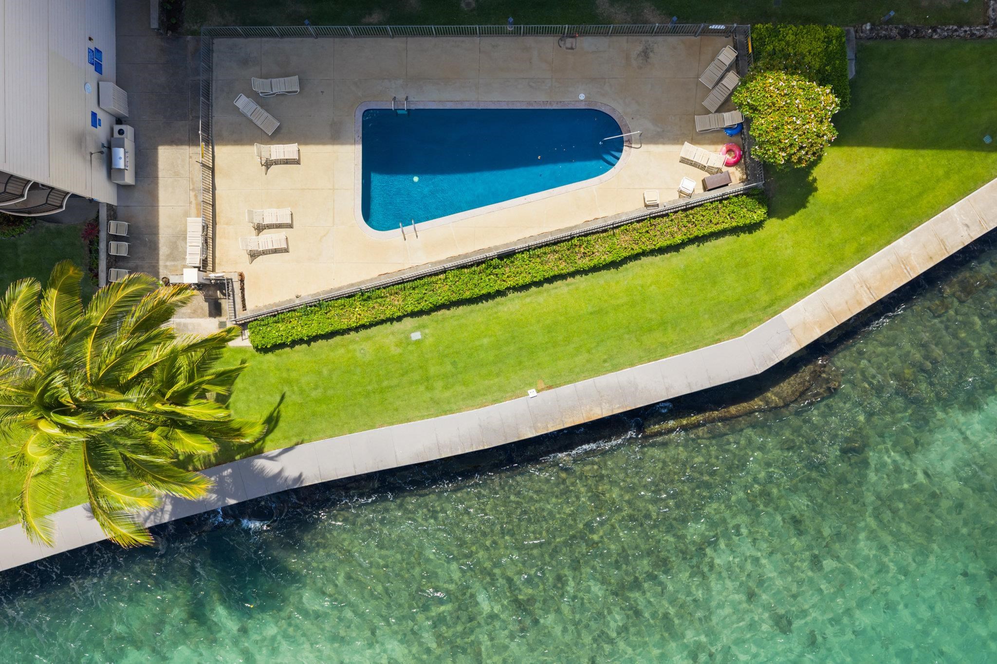 4471 Lower Honoapiilani Road, Unit 415 Lahaina, HI 96761 - Photo 2 of 44 a view of a backyard with plants