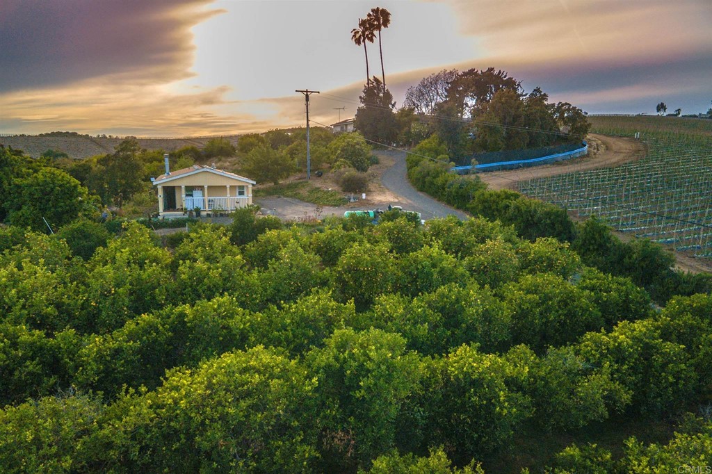 31256 Vía Puerta Del Sol Bonsall, CA 92003 - Photo 19 of 35