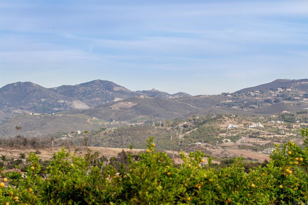 31256 Vía Puerta Del Sol Bonsall, CA 92003 - Photo 23 of 35