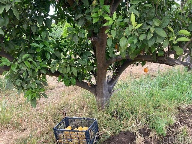 31256 Vía Puerta Del Sol Bonsall, CA 92003 - Photo 26 of 35