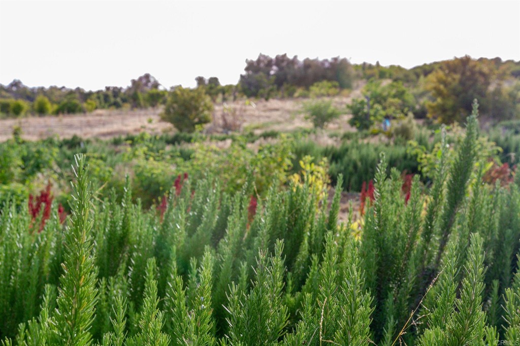 31256 Vía Puerta Del Sol Bonsall, CA 92003 - Photo 27 of 35