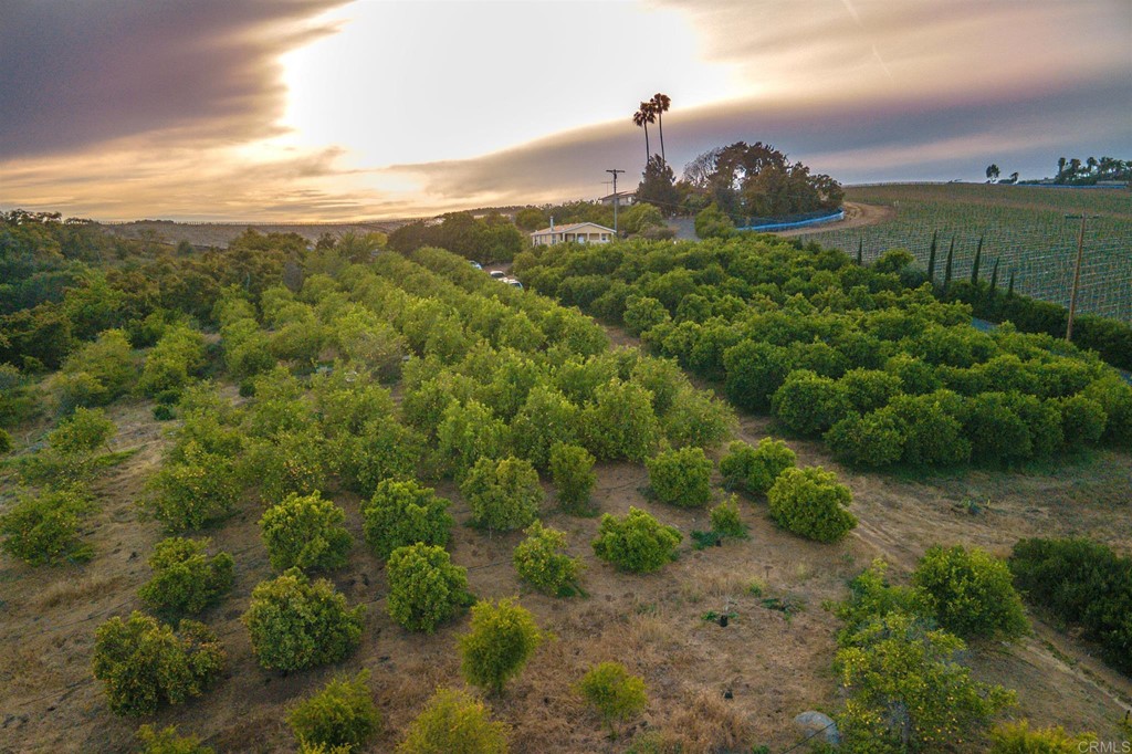 31256 Vía Puerta Del Sol Bonsall, CA 92003 - Photo 29 of 35