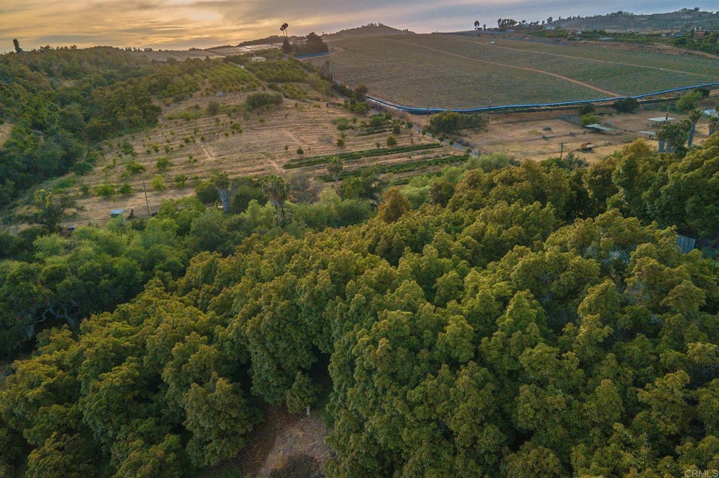 31256 Vía Puerta Del Sol Bonsall, CA 92003 - Photo 31 of 35