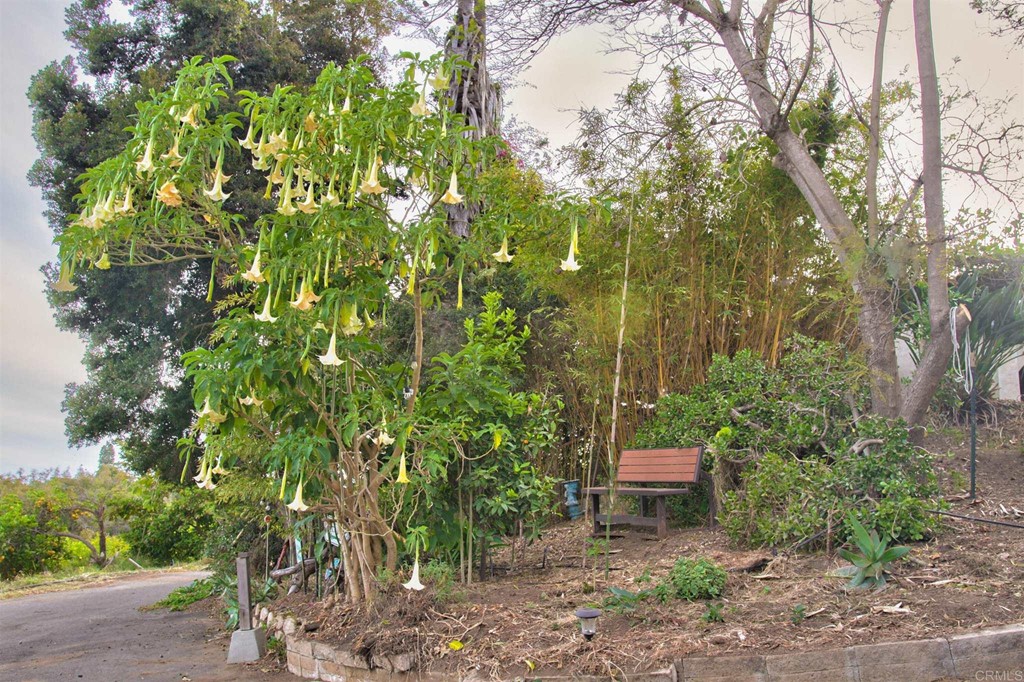 31256 Vía Puerta Del Sol Bonsall, CA 92003 - Photo 6 of 35