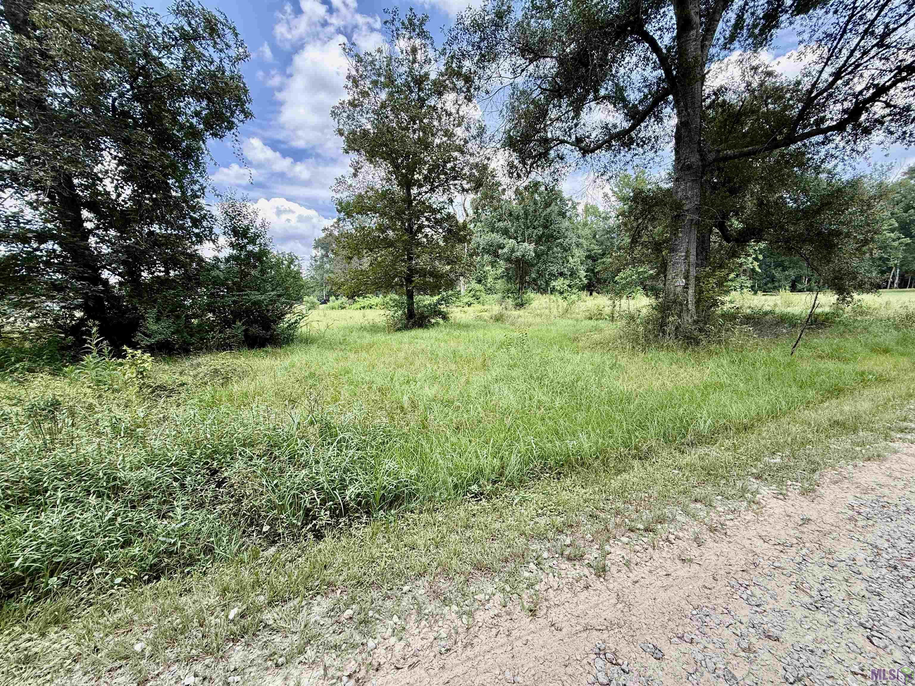 36301 Ruby Moore Road Denham Springs, LA 70706 - Photo 2 of 3
