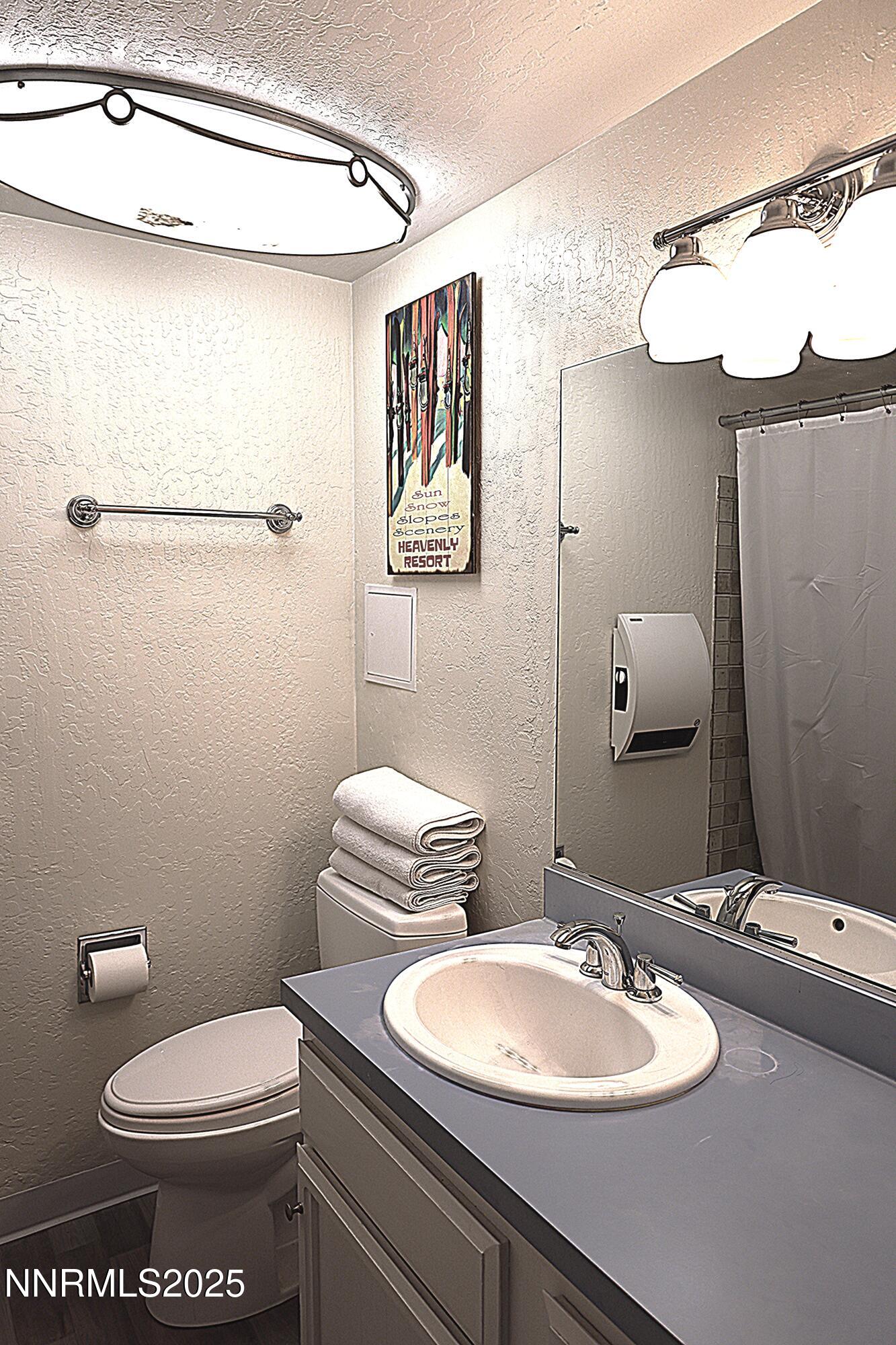 313 Tramway Drive, Unit 8 Stateline, NV 89449 - Photo 7 of 22 a bathroom with a toilet a sink and mirror