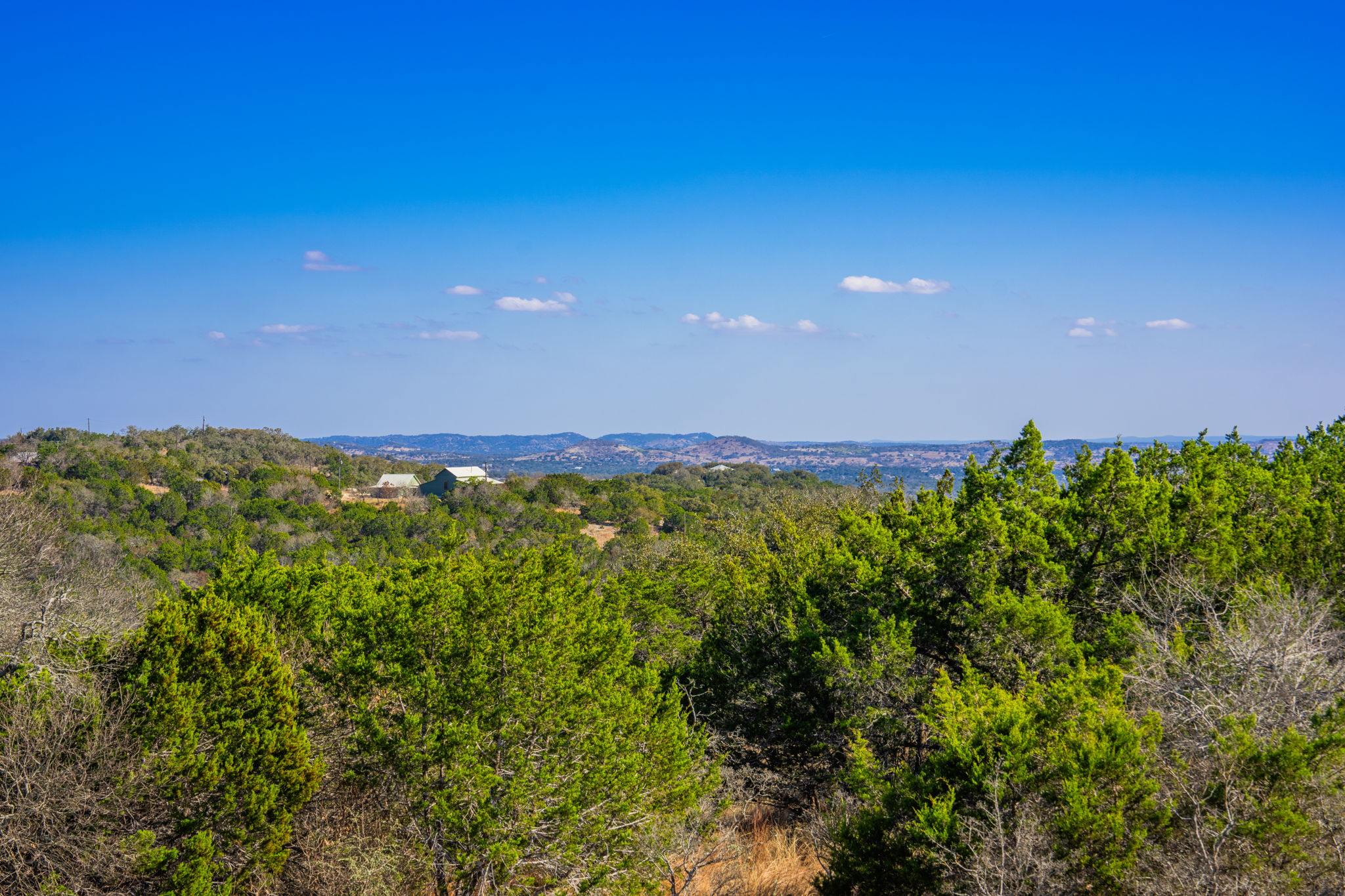 117 Point Road Fredericksburg, TX 78624 - Photo 26 of 40 View of mountain backdrop with a heavily wooded area
