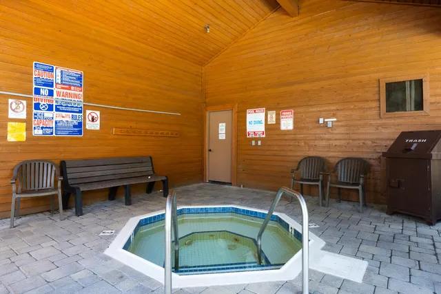 a view of a park with large trees