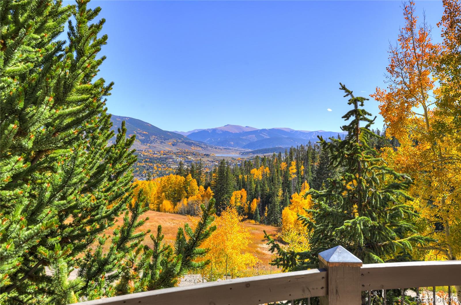 348 Jade Road Silverthorne, CO 80498 - Photo 12 of 48 a view of a yard