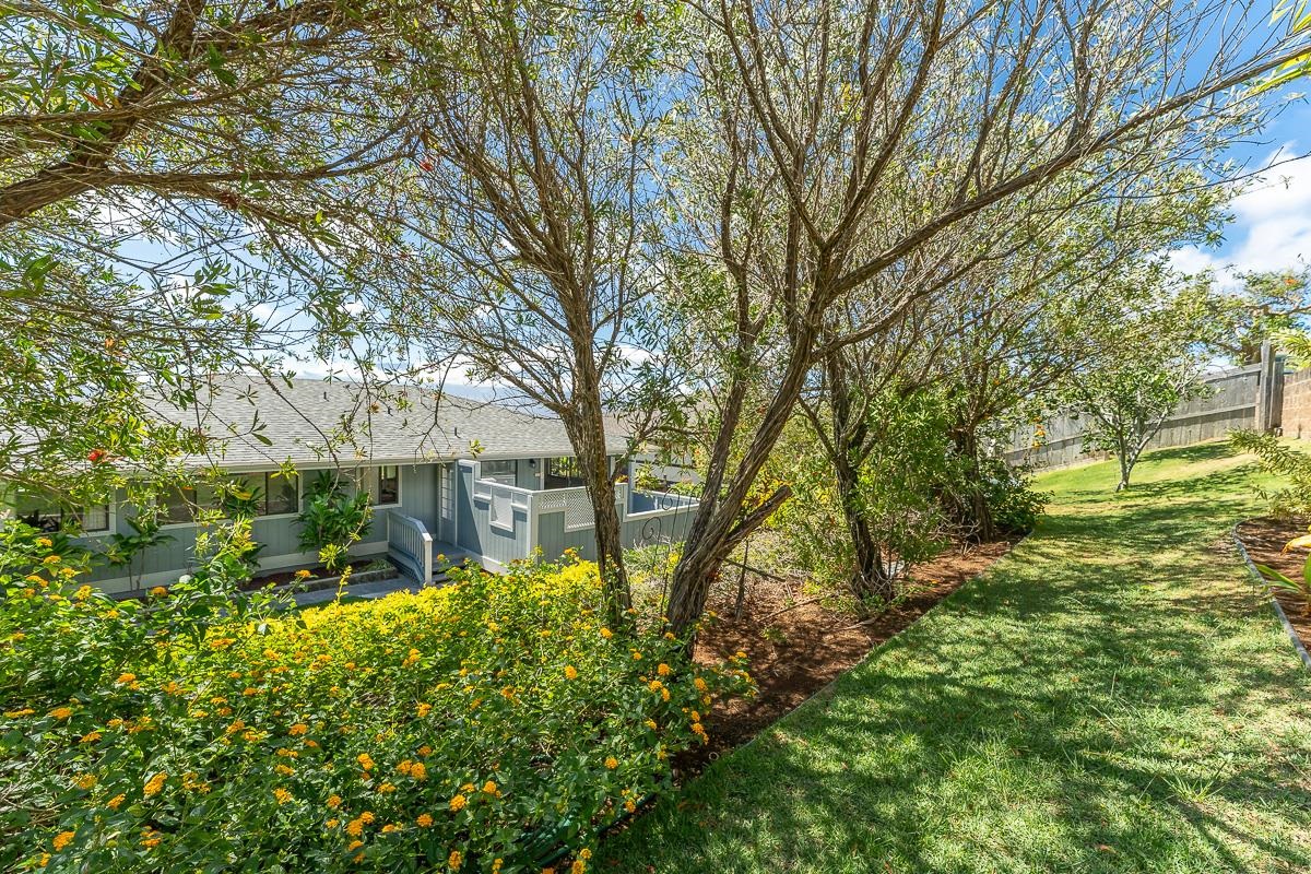 700 South Alu Road Wailuku, HI 96793 - Photo 38 of 42 a view of backyard of house with green space