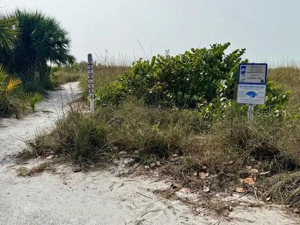 a view of a dry yard with trees
