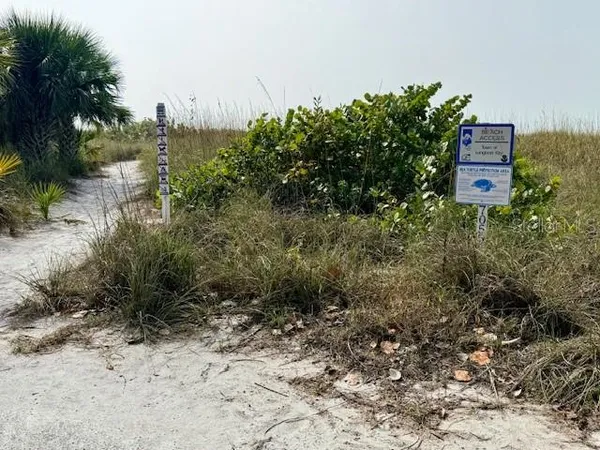 a view of a dry yard with trees