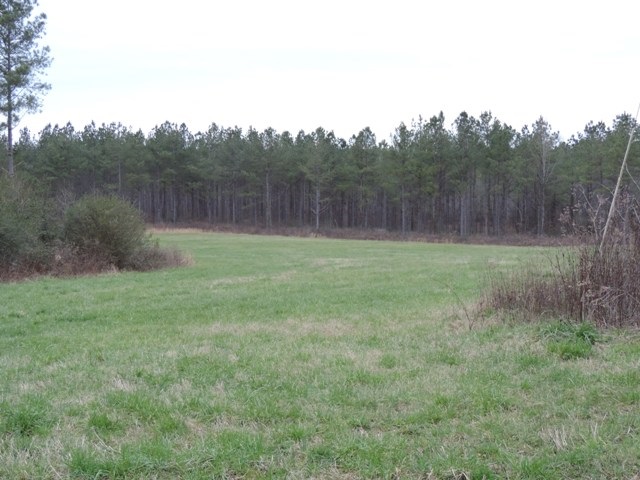 38.69-ac South Retreat Road Westminster, SC 29693 - Photo 1 of 9 Gallery Image 1