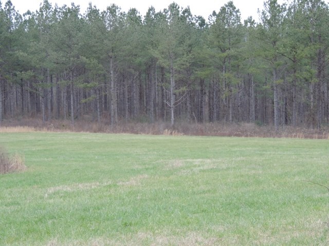 38.69-ac South Retreat Road Westminster, SC 29693 - Photo 3 of 9 Gallery Image 3