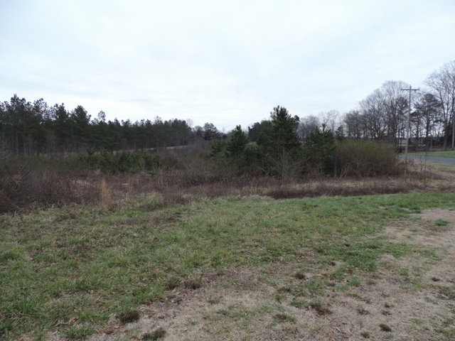 38.69-ac South Retreat Road Westminster, SC 29693 - Photo 7 of 9 Gallery Image 7
