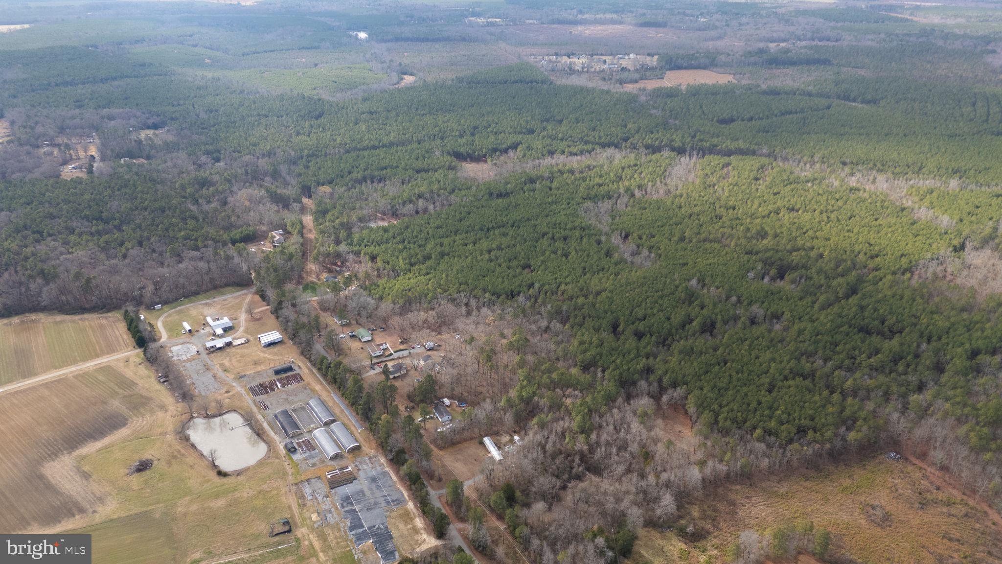 23206 Telegraph Road Ruther Glen, VA 22546 - Photo 3 of 3 a view of lot of outdoor space