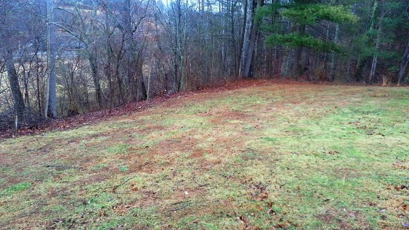 6170 Timber Bridge Road Roanoke, VA 24018 - Photo 17 of 21 17 BACKYARD 2