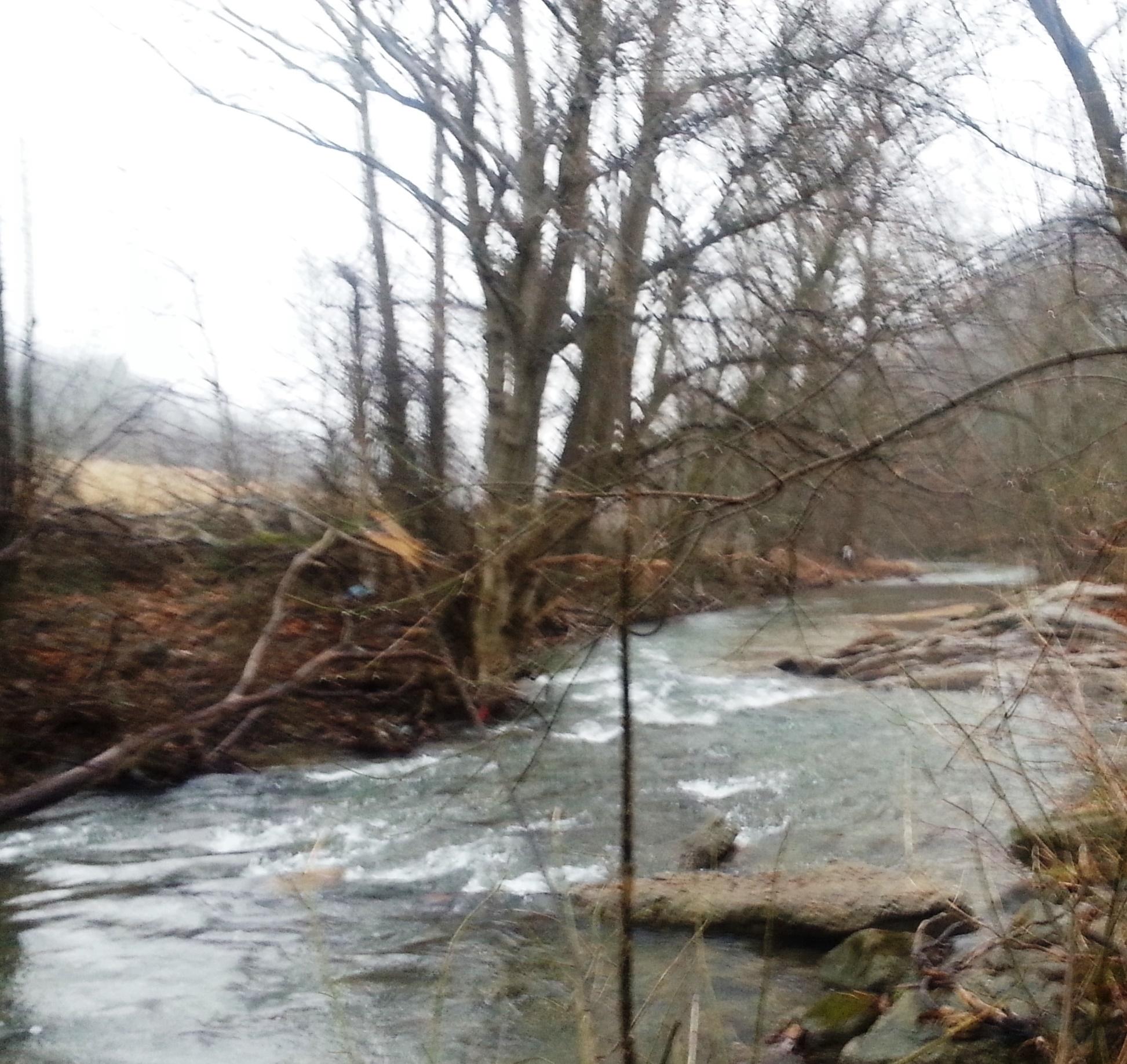6170 Timber Bridge Road Roanoke, VA 24018 - Photo 20 of 21 20 CREEK 2