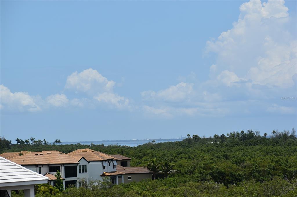 3027 Bermuda Sloop Circle Ruskin, FL 33570 - Photo 52 of 53